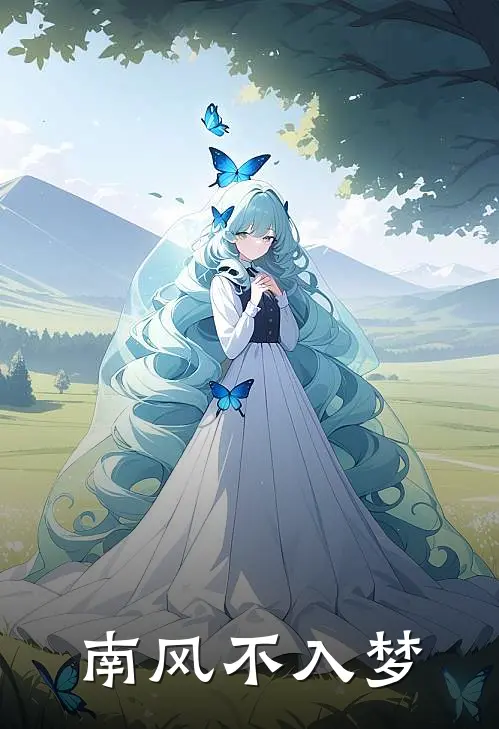 南风不入梦